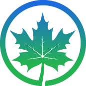 Cedar Tree Pruning
