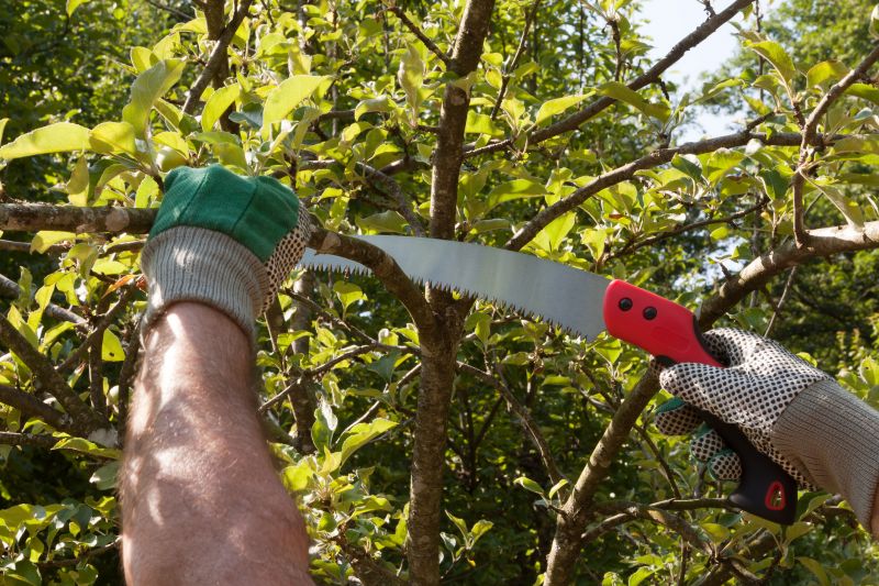 Products For Cedar Tree Prunings in use