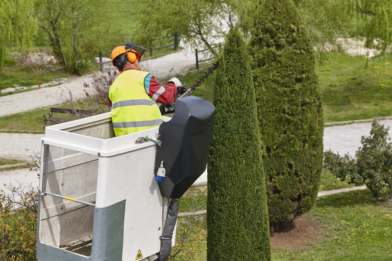 Specialized Pruning Contractors